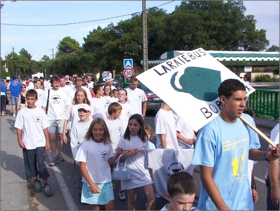 cfj-04__05_.jpg