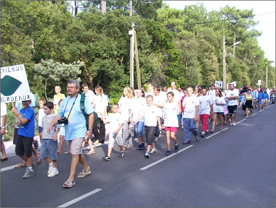 cfj-04__06.1_.jpg