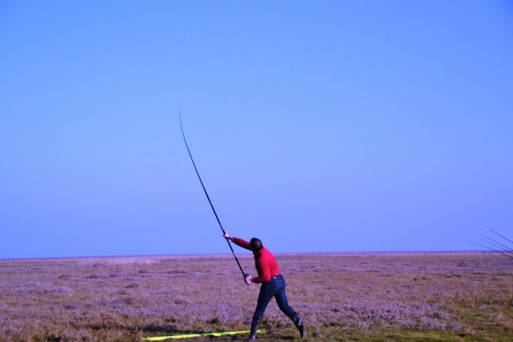 2017_m1__05_.jpg