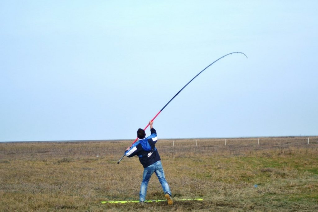 2017_m1__13_.jpg