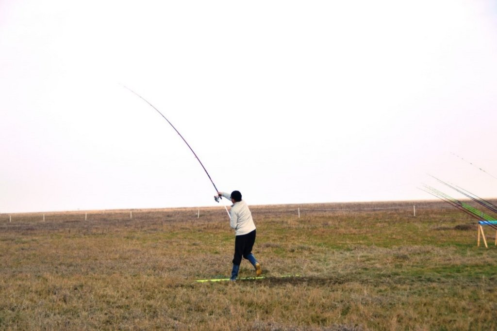 2017_m1__23_.jpg